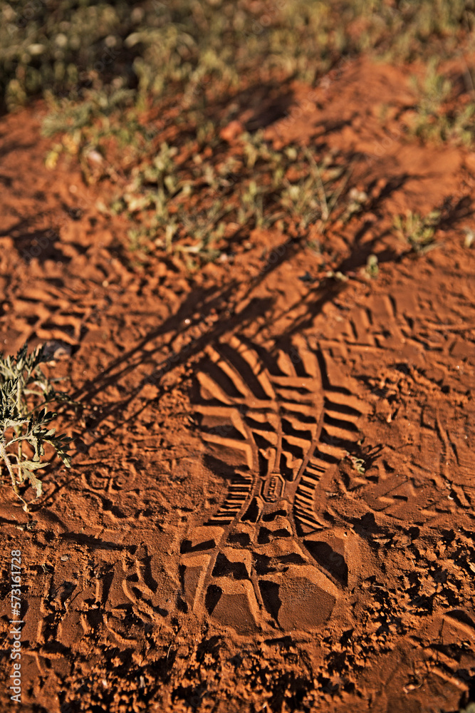 A foot print in the sand.