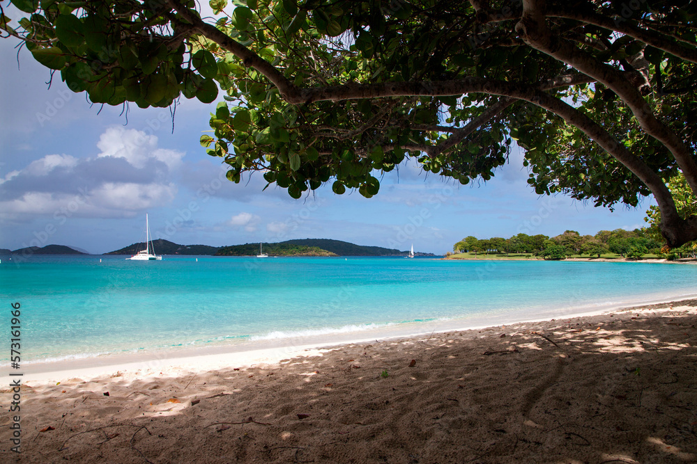 Looking out at sailboats anchored from beneath shade tree on tropical beach Looking out at sailboats anchored from beneath shade tree on tropical beach