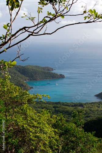 View of Great Lameshur Bay from Bordeaux Mountain trail, St. John, USVI photo