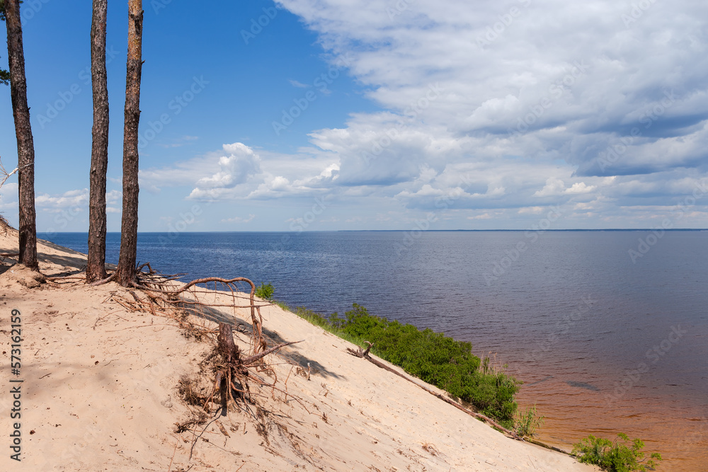 Steep sandy reservoir shore with pines with exposed roots Steep sandy reservoir shore with pines with exposed roots