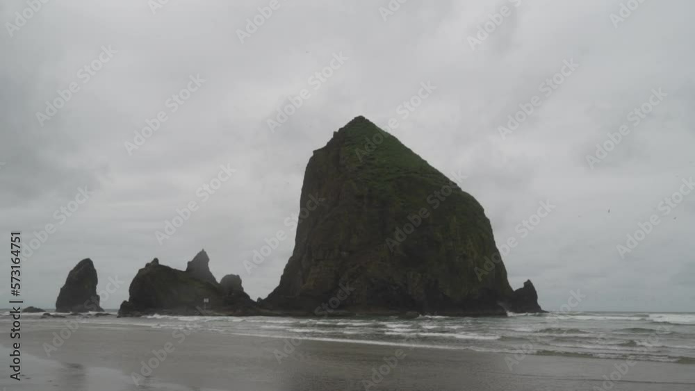 OREGON - Thousand of Birds Flying at Cannon Beach Haystack Rock towers on the shoreline