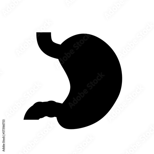 stomach. gastric disease. stomach ache. digestive process. gastric bacteria. gerd