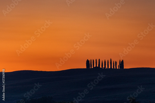 I cipressi di San Quirico d'Orcia all'alba. photo