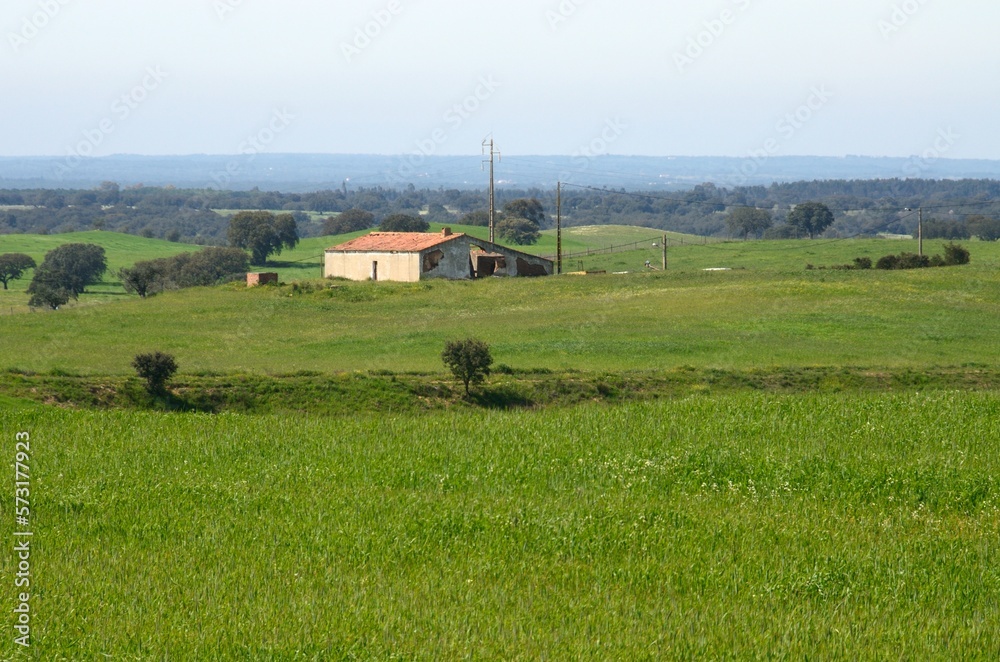 Paisaje típico alentejano, Portugal Paisaje típico alentejano, Portugal