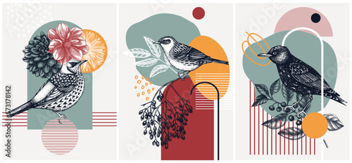 Collage-style bird cards set. Sketched birds trendy poster collection. Creative designs with botanical illustrations, geometric shapes, and abstract elements for nature print, wall art, packaging.