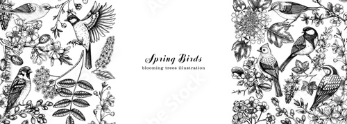 Flowering trees with birds banner. Vintage frame designs with birds, flowers, blooming branches sketches. Hand drawn almond, willow, rowan, willow, cherry blossom isolated on white background