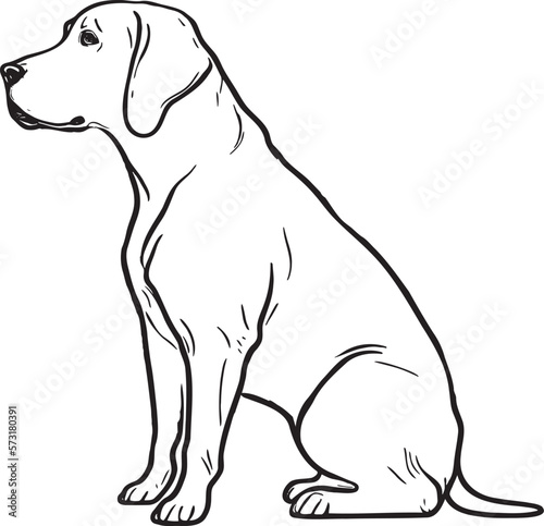 Vector logo of a dog head Labrador on white background, Pet. Animals.