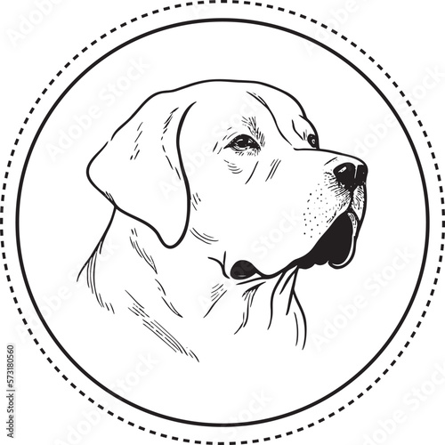 Vector logo of a dog head Labrador on white background, Pet. Animals.