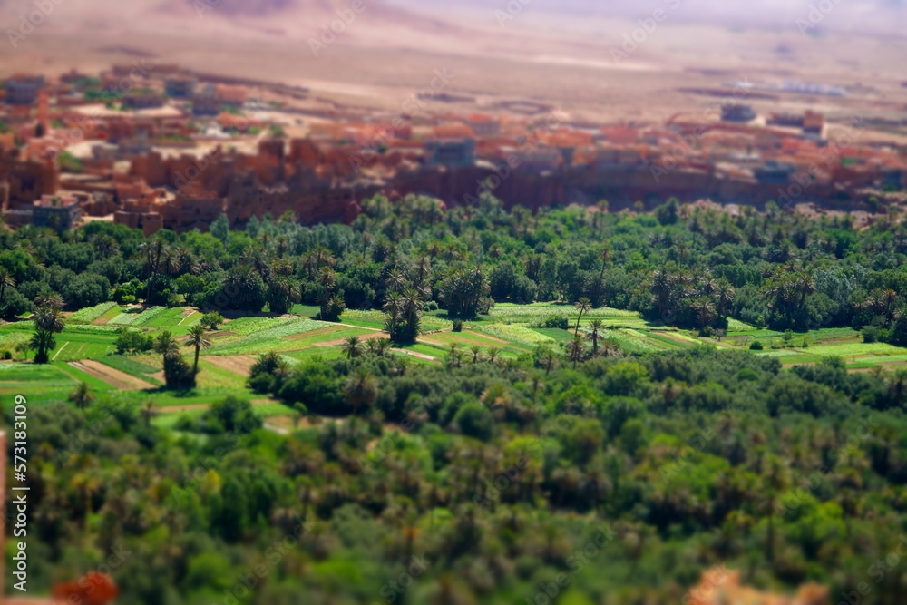 Obraz premium village in morocco