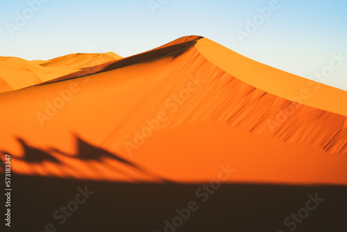 sunset in the desert