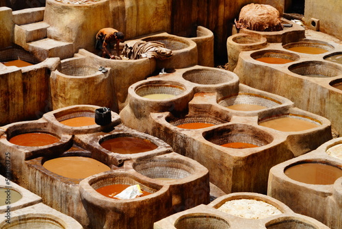 Chouara Tannery in the city of Fez, Morocco. 