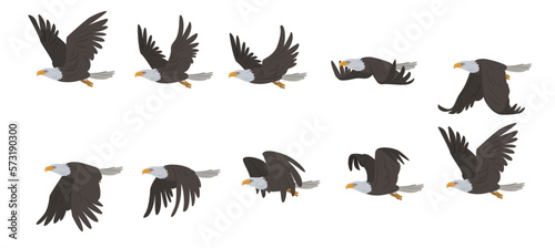 Flying eagle. Sprites for 2d animation