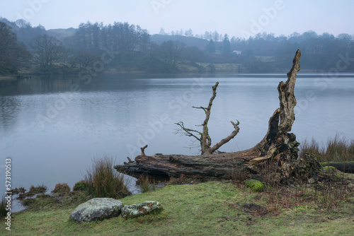Beautiful peaceful Winter landscape image of Loughtrigg Tarn on misty morning with calm water and foggy countryside in the background