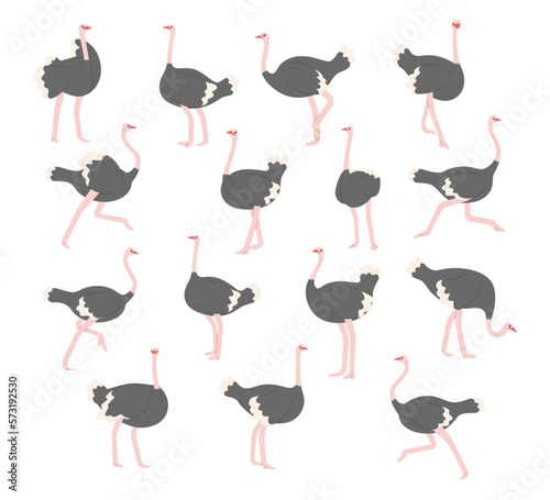 ostrich collection 1 cute on white background, vector illustration. 
