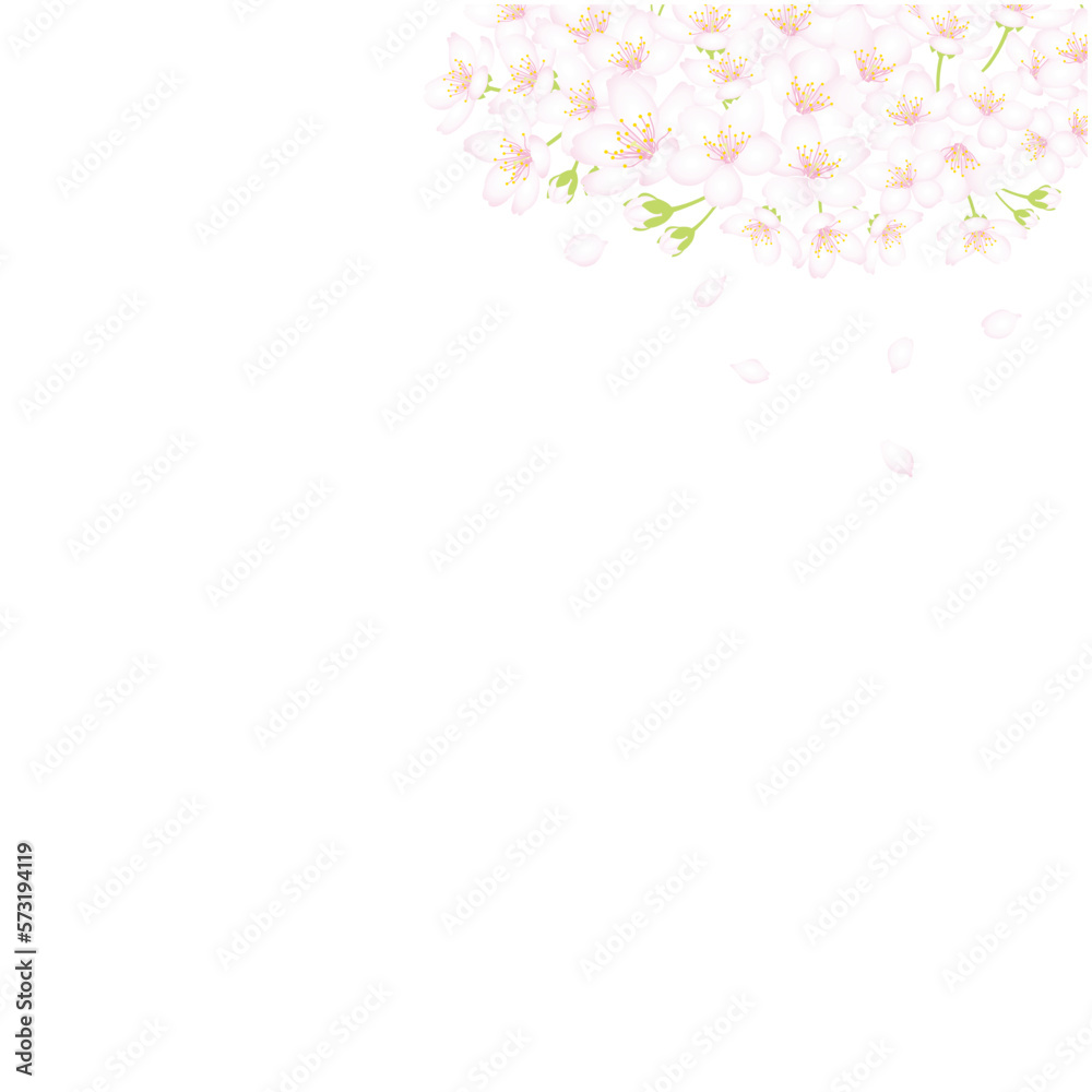 桜の花と花弁のフレーム02 桜の花と花弁のフレーム02