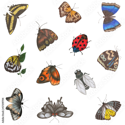 Set of Hand Drawn Colorful Butterfly and Insects Isolated on White Background. Butterfly Collection Drawn by Colored Pencil. Hand Drawn Moth and Insects Clipart. © Irinka Dimkovna
