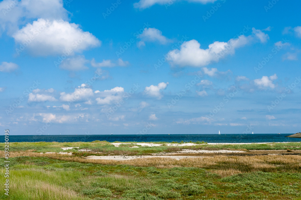 Landscape at Texel