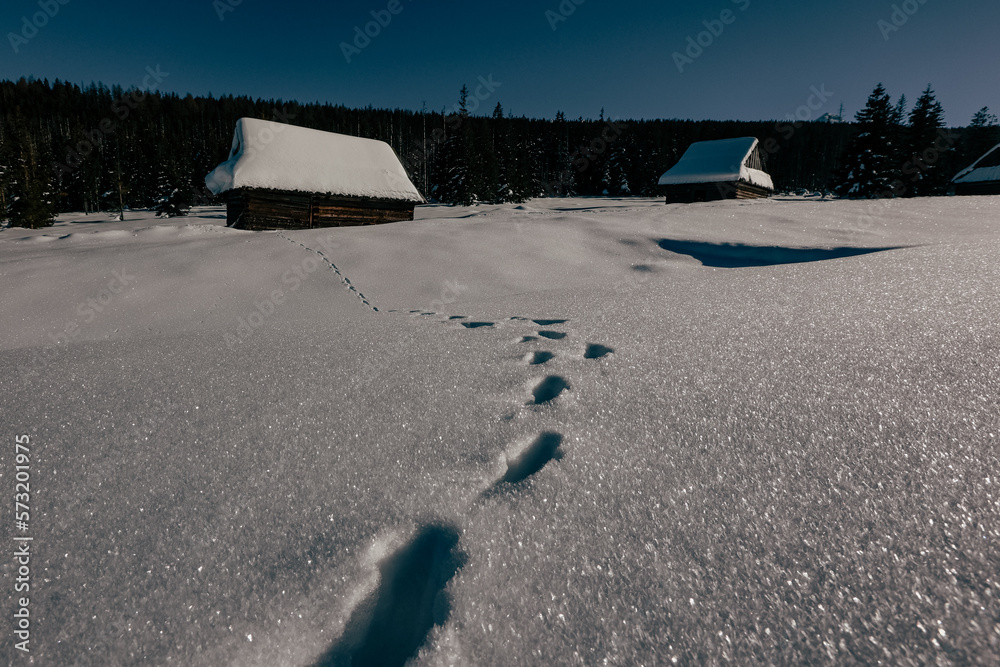 Tatry