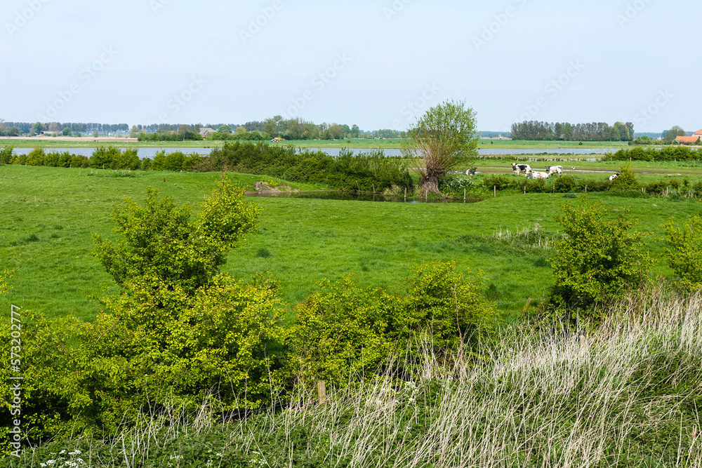 Drowned Land of Saeftinghe Drowned Land of Saeftinghe