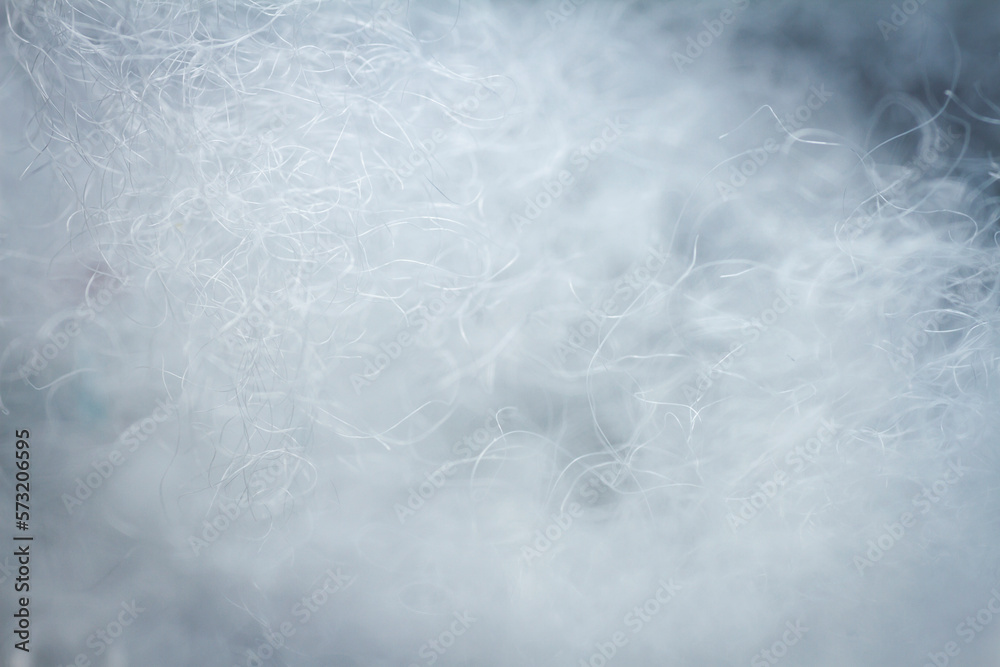 Fototapeta premium Extreme macro of polyester stable fiber
