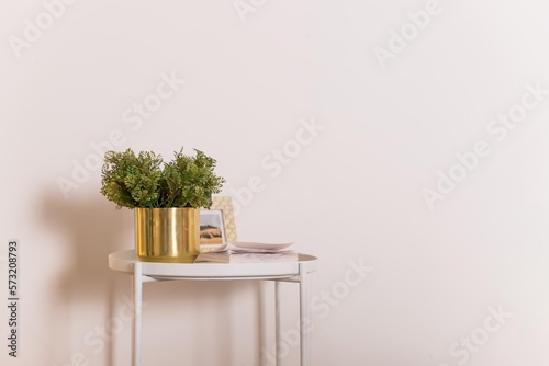 Mini plant and book on white table, copy space, nobody, tree in golden pot for decoration in home, white background, spring and summer.The stylish interio,rThe minimalizm concept of space. photo