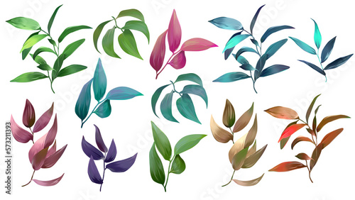 Isolated tropical leaves. Summer drawn plants tropical