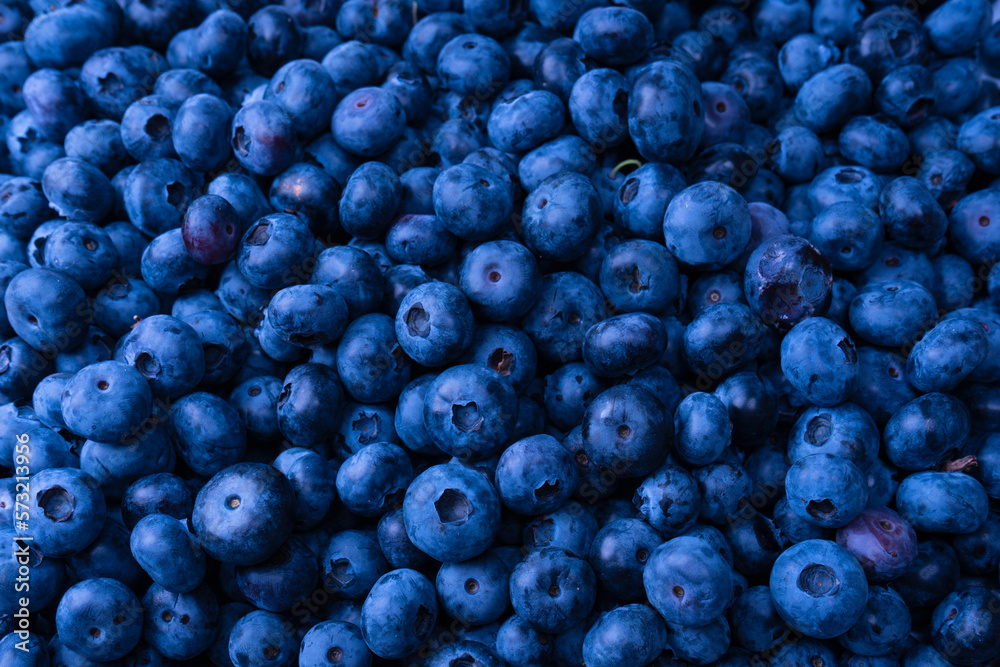 Fresh blueberry background. Texture blueberry berries close up. Fresh blueberry background. Texture blueberry berries close up.