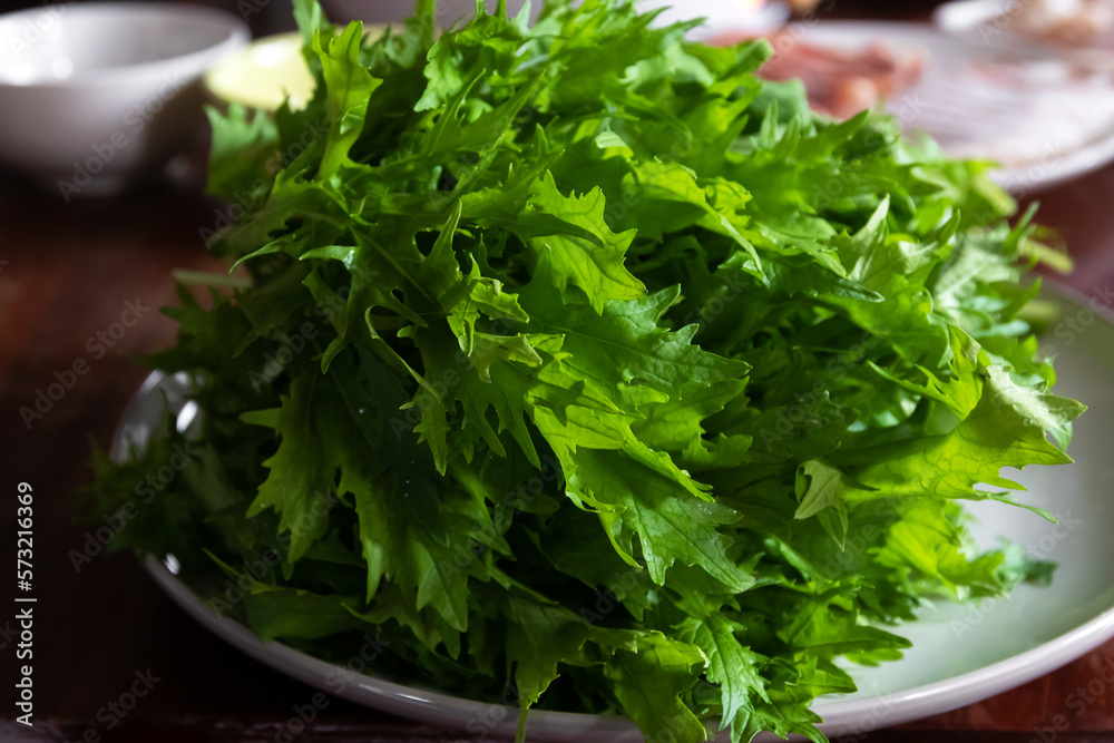 Mizuna or Kyona (Japanese water vegetable) on table with meat and soup for delicious shabu shabu. Mizuna or Kyona (Japanese water vegetable) on table with meat and soup for delicious shabu shabu.