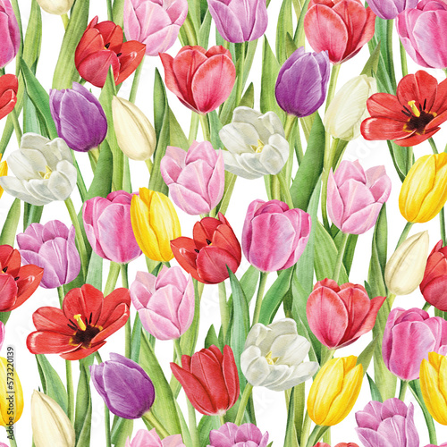 Seamless pattern with tulips flowers on white background  watercolor floral pattern  suitable for wallpaper  card or fabric.