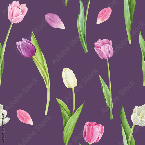 Seamless pattern with tulips flowers on white background  watercolor floral pattern  suitable for wallpaper  card or fabric.