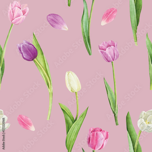 Seamless pattern with tulips flowers on white background  watercolor floral pattern  suitable for wallpaper  card or fabric.