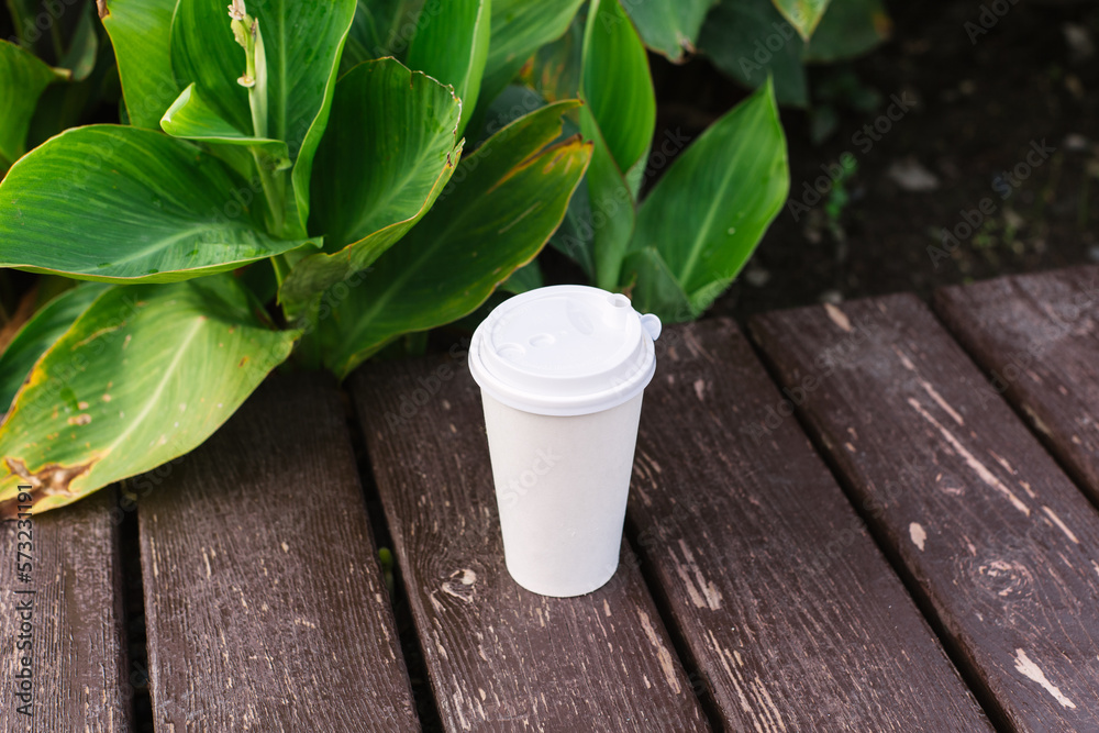 Takeaway paper cup standing on wood table with tropical palm leaves ...