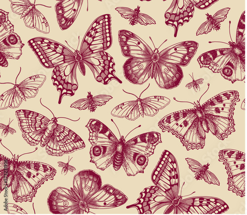 Seamless pattern. Butterfly Butterflies animals moths insect fly peacock makhaon mosquito realistic isolated. Vintage fabric background. Wallpaper. Drawing engraving. Vector victorian Illustration     © Наталья Лобенко