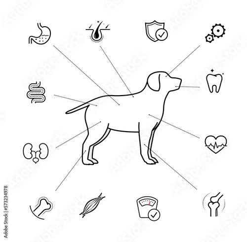 Vitality icon set for dog. The outline icons are well scalable and editable. Contrasting elements are good for different backgrounds. EPS10.