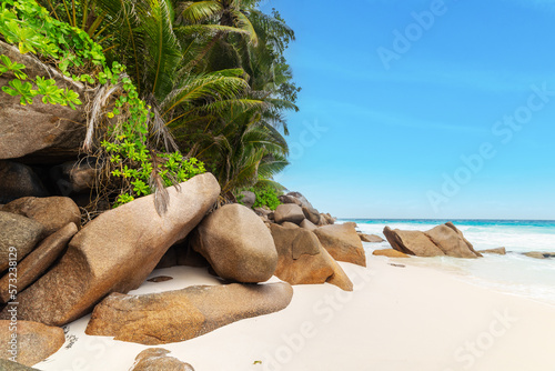 Fototapeta Naklejka Na Ścianę i Meble -  Rocks and palm trees in Anse Georgette