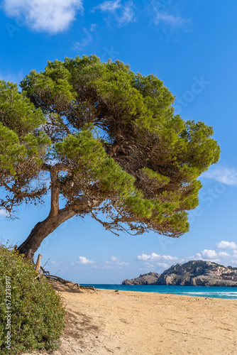 Cala Agulla ist eine Bucht der spanischen Baleareninsel Mallorca | Spanien | Espana photo