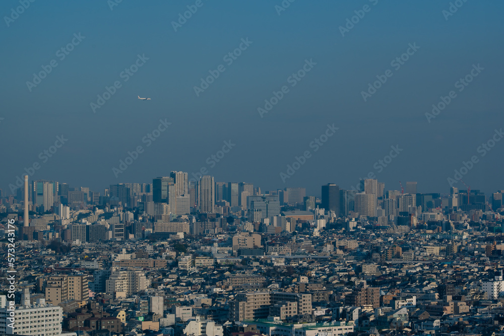 Obraz premium 新宿・都庁の景色 (コピースペースあり)