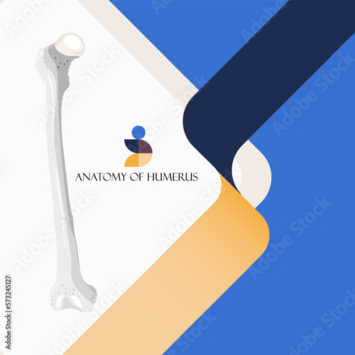 Medical orthopedic anatomy abstract background. Treatment for orthopedics traumatology of humerus bones and joints injury. Medical presentation, hospital. Vector illustration