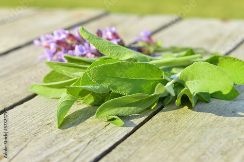 Flowering sage  fresh-picked on old wooden background. Preparation of medicinal herbs for elixirs of alternative medicine near an apothecary bubble