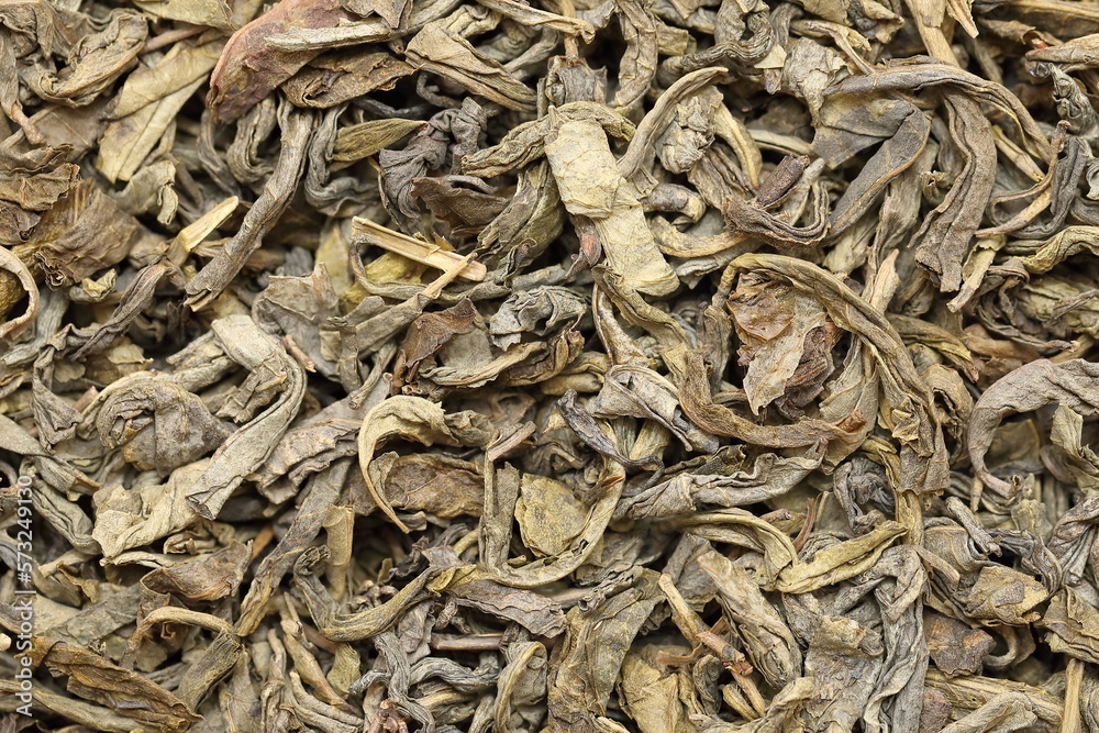 Dried green tea leaves close-up