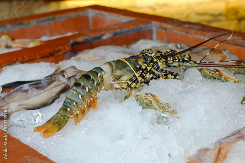 Close-up of a lobster on ice next to other seafood. A counter at a seafood restaurant, displaying a fresh catch for dinner.