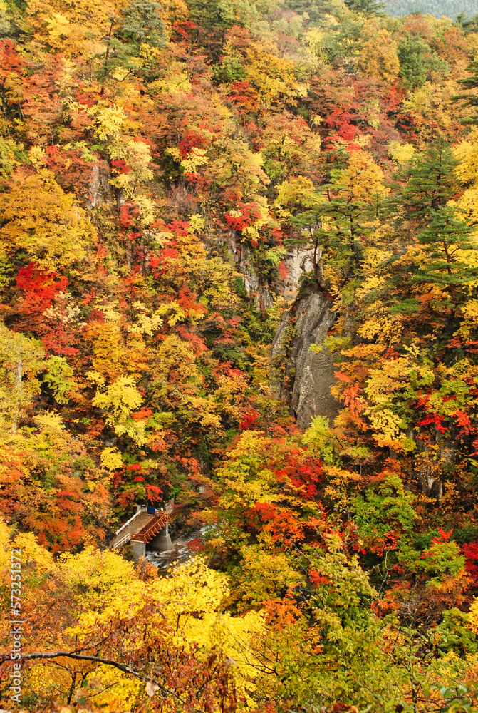 Japanese scenery - autumn in the mountains