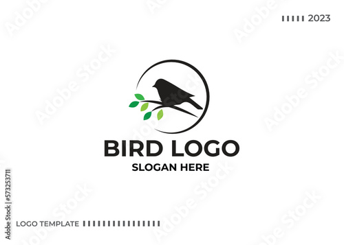 Bird logo Design Vector Template. Bird icon vector concept