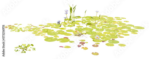 Isolated cutout PNG of  water lilies on a transparent background
