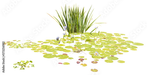 Fotografie Isolated cutout PNG of  water lilies on a transparent background
