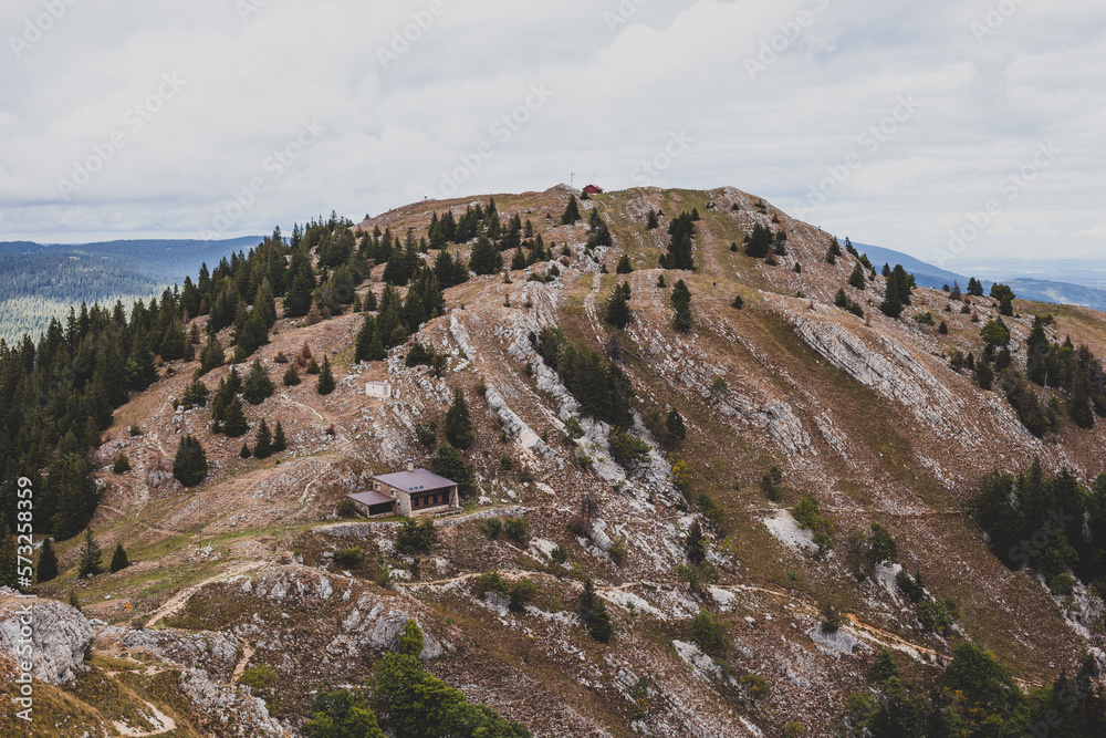 Alp landscape in the mountains