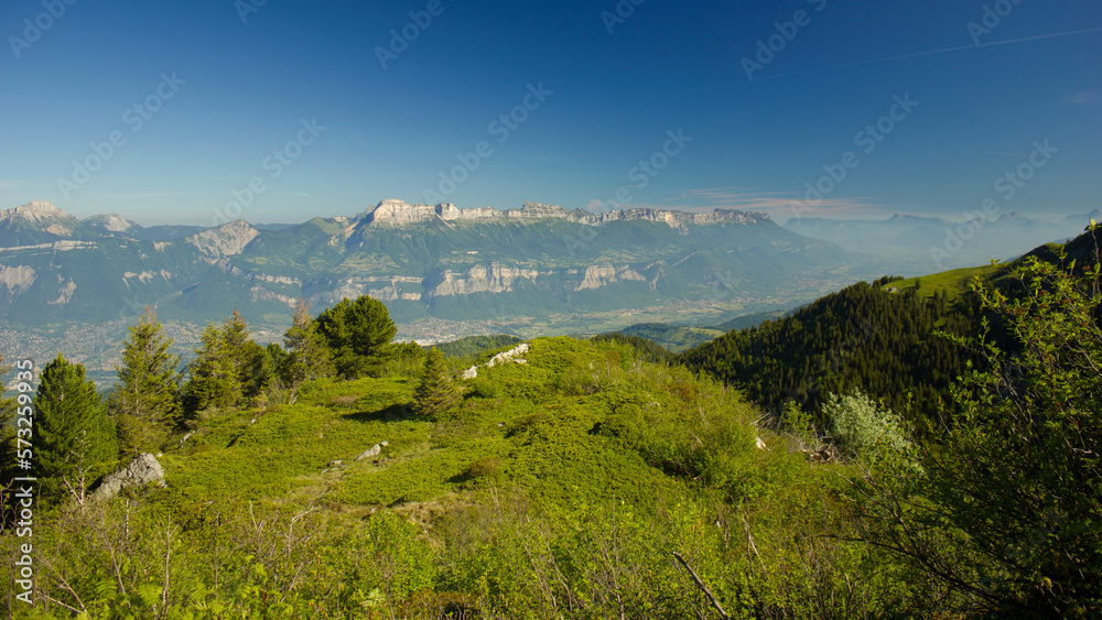 Chartreuse from Belledonne
