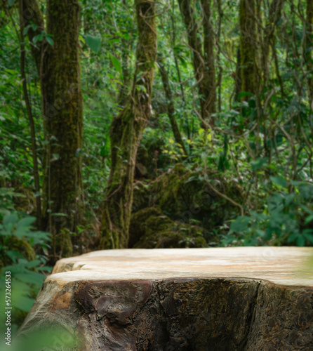 Fototapeta Naklejka Na Ścianę i Meble -  Wood podium table top in outdoor green lush tropical forest nature landscape background.Organic healthy natural product present placement pedestal counter display,spring summer jungle concept.