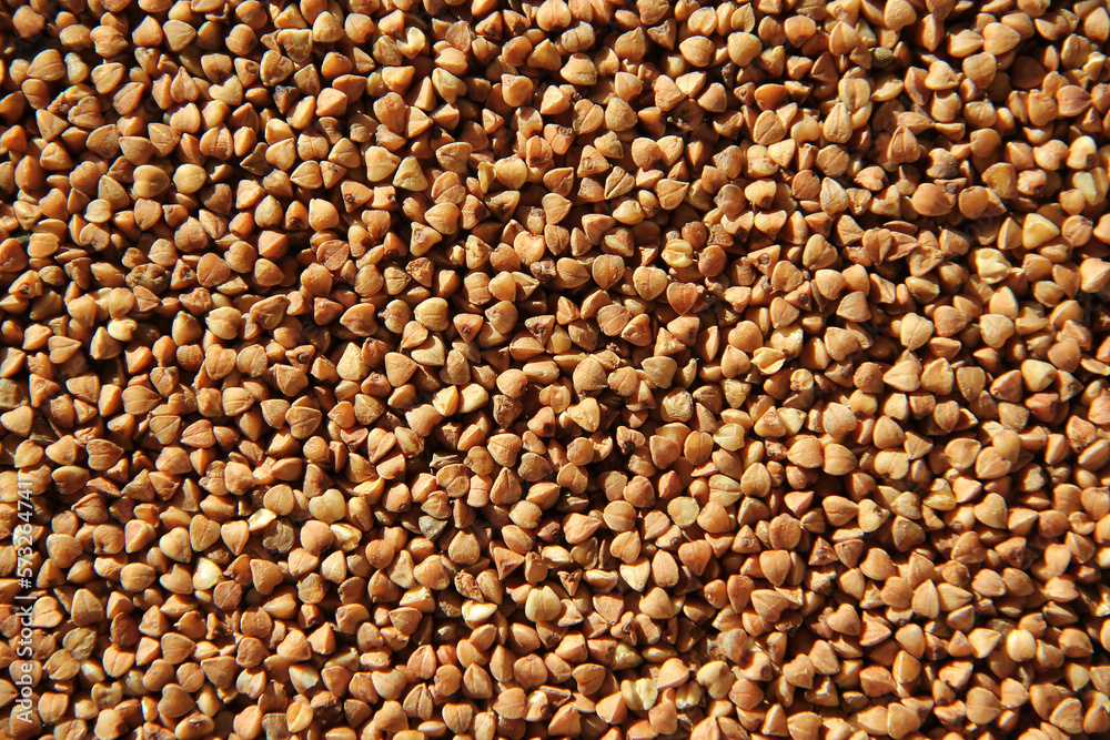 Buckwheat closeup with selective focus. Buckwheat closeup with selective focus.