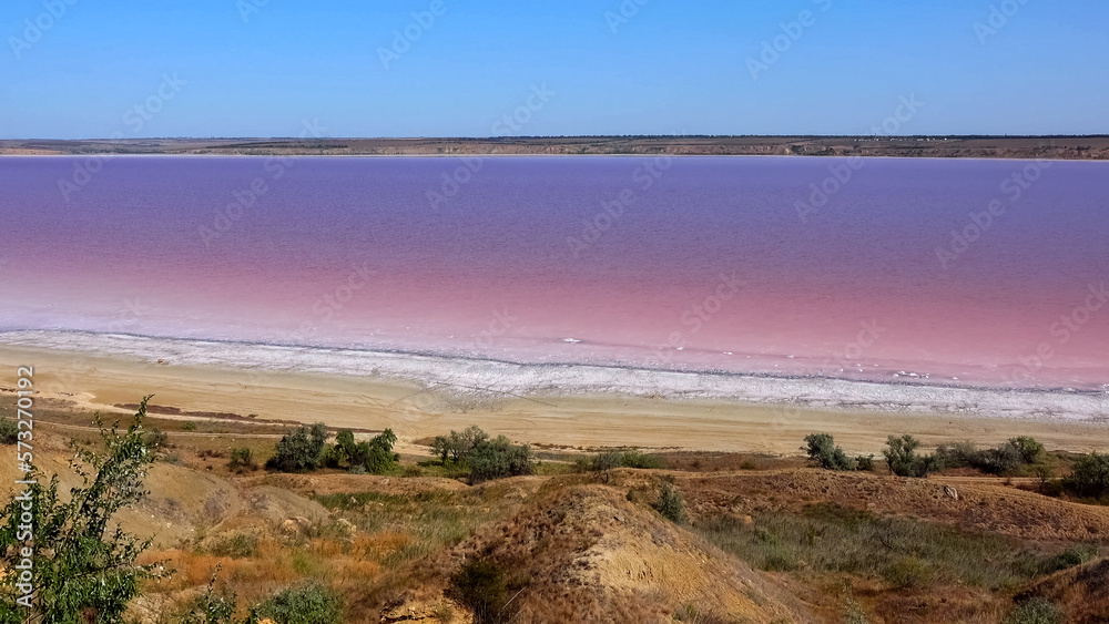 Kuyalnik estuary, Black Sea. Rose water in the estuary, salt water from Artemia and Dunaliella Kuyalnik estuary, Black Sea. Rose water in the estuary, salt water from Artemia and Dunaliella